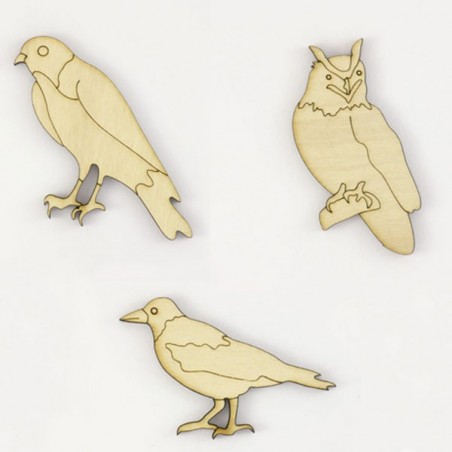 Pack de 3 oiseaux : hibou, buse et corbeau